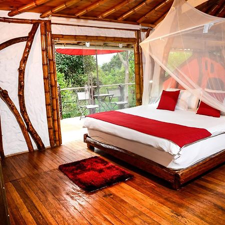 Finca Ecologica El Maco San Agustín Kültér fotó