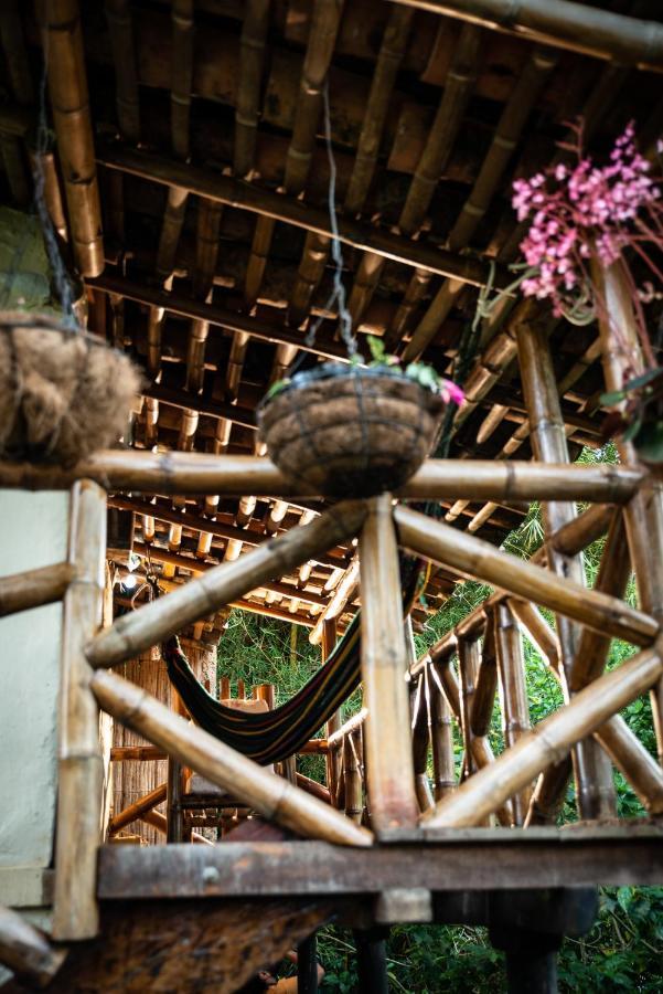 Finca Ecologica El Maco San Agustín Kültér fotó