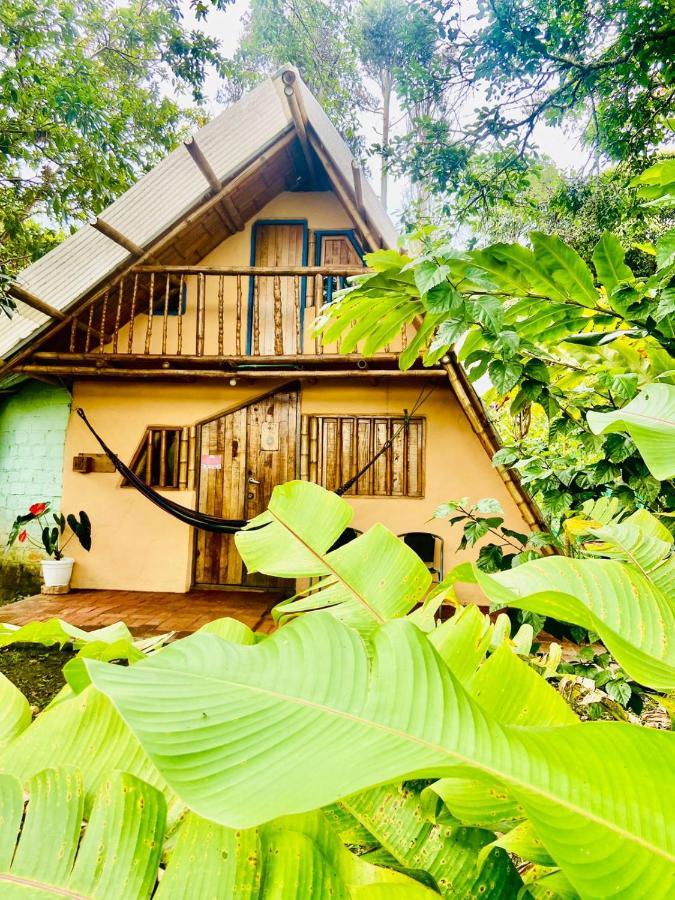 Finca Ecologica El Maco San Agustín Kültér fotó